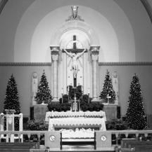 10:00-7:00PM - TUESDAY, December 7 - St.