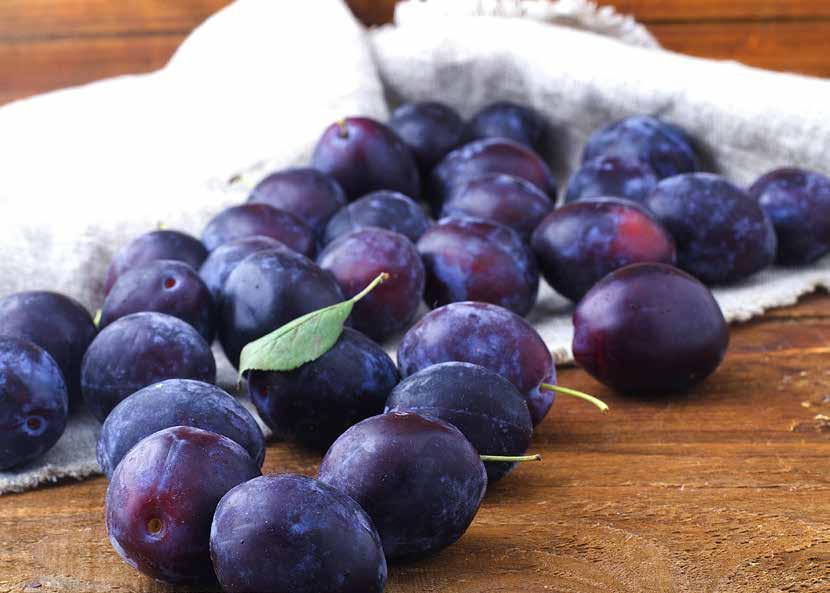 VERA DETAL OWOCE I WARZYWA W SŁOIKACH AMFORA FRUITS & VEGETABLES AMPHORA BRZOSKWINIE, MORELE, WIŚNIE, ŚLIWKI, PAPRYKA PEACHES, APRICOTS,
