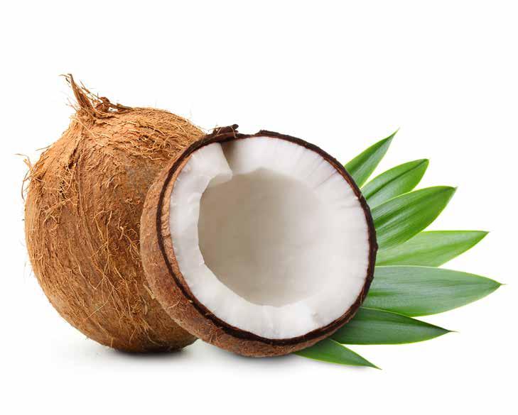 refined Mleczko kokosowe Coconut milk 457,5 g 8 84