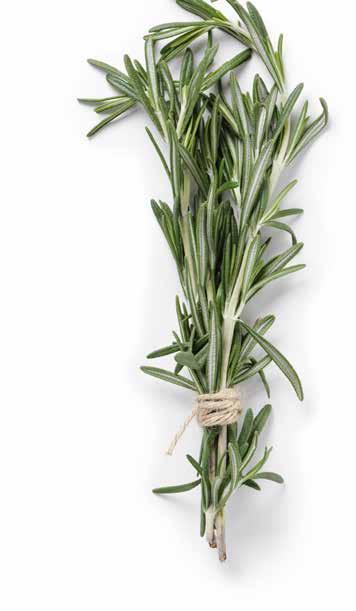 CRETAN OLIVE MILL AROMATYZOWANE OLIWY Z KRETY CRETAN EXTRA VIRGINE OLIVE OILS Aromatyzowana oliwa z oliwek extra
