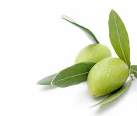olive oil with olives 250 ml 250 ml 250 ml 1 24 00 520011743 288 1440 520011740444 288 1440 5200117443 LIMPOL Sp. z o.