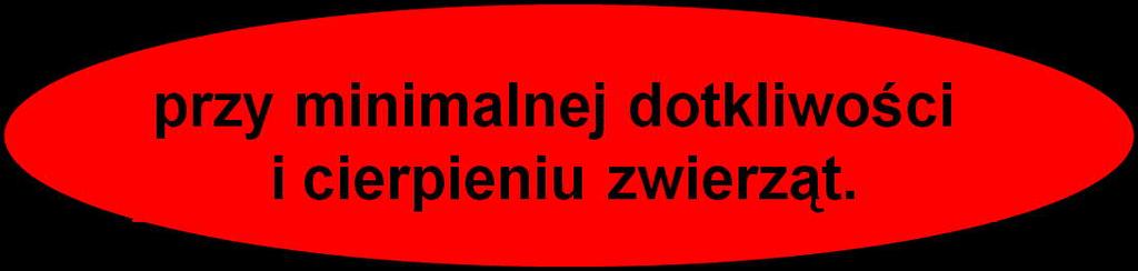 Podsumowanie Właściwe zaprojektowanie i wykonanie doświadczenia oraz odpowiednia analiza