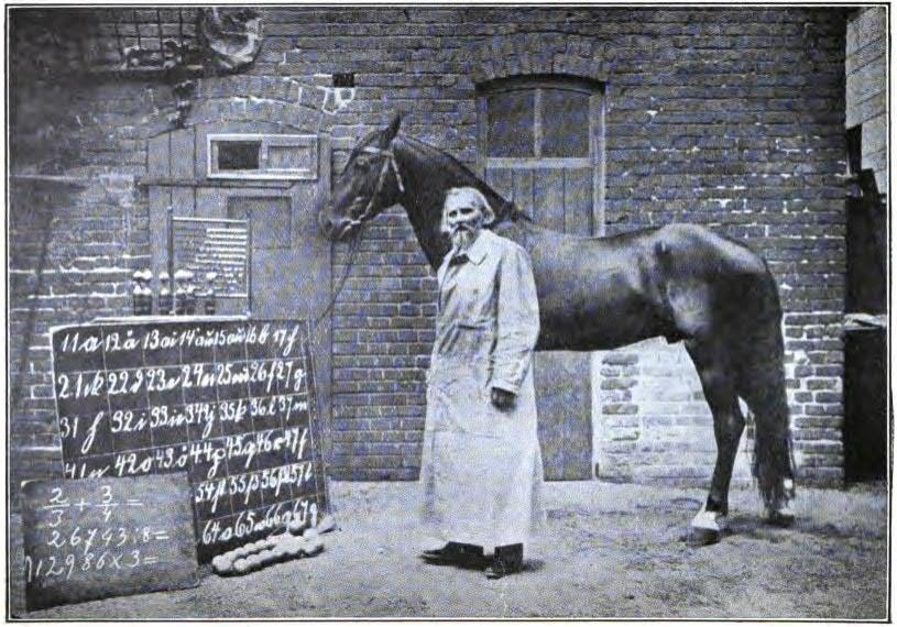 Wpływ eksperymentatora (koń Hans i jego właściciel - von Osten, 1909 r.
