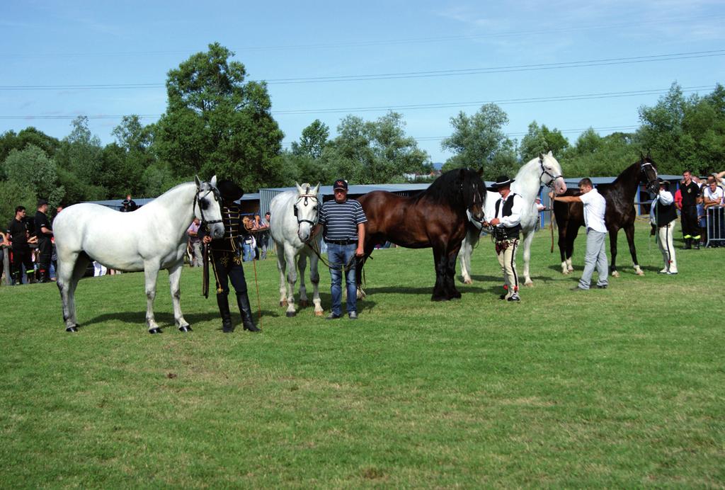 I. Tomczyk-Wrona EX SITU CONSERVATION OF HORSE GENETIC RESOURCES Summary Conservation breeding of Polish horse breeds is an important part of the National Animal Genetic Resources Conservation