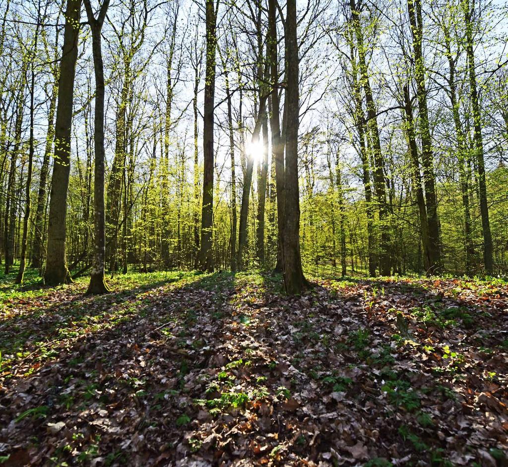KWIECIEŃ 2019 Fot.