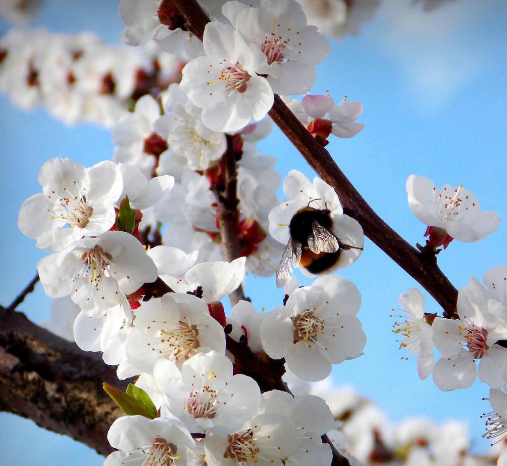 MAJ 2019 Fot.