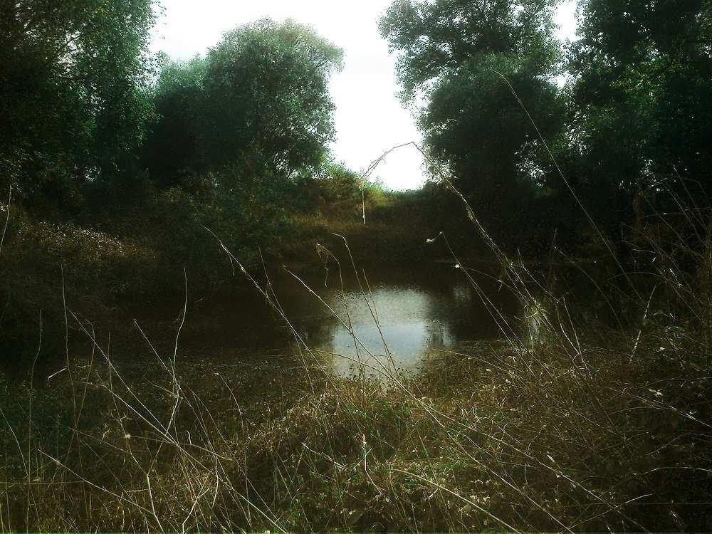 Fot.11.