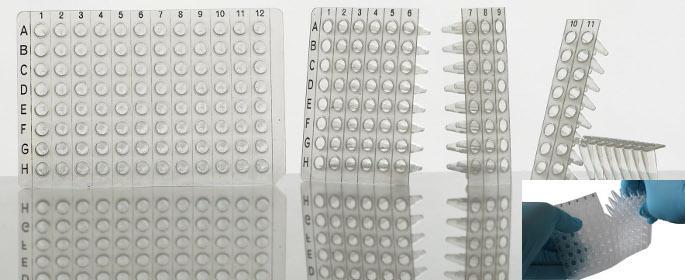 384-DOŁKOWE PŁYTKI DO PCR Nazwa Produktu Rodzaj Nr kat.