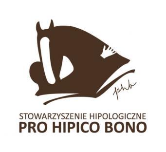 Wrocławski Tor Wyścigów Konnych PARTYNICE Stowarzyszenie Pro Hipico Bono Polska Liga Western i Rodeo zapraszają na II MISTRZOSTWA ŚWIATA W JEŹDZIE BEZ OGŁOWIA 7-9 września 2018 r. WROCŁAW PARTYNICE I.