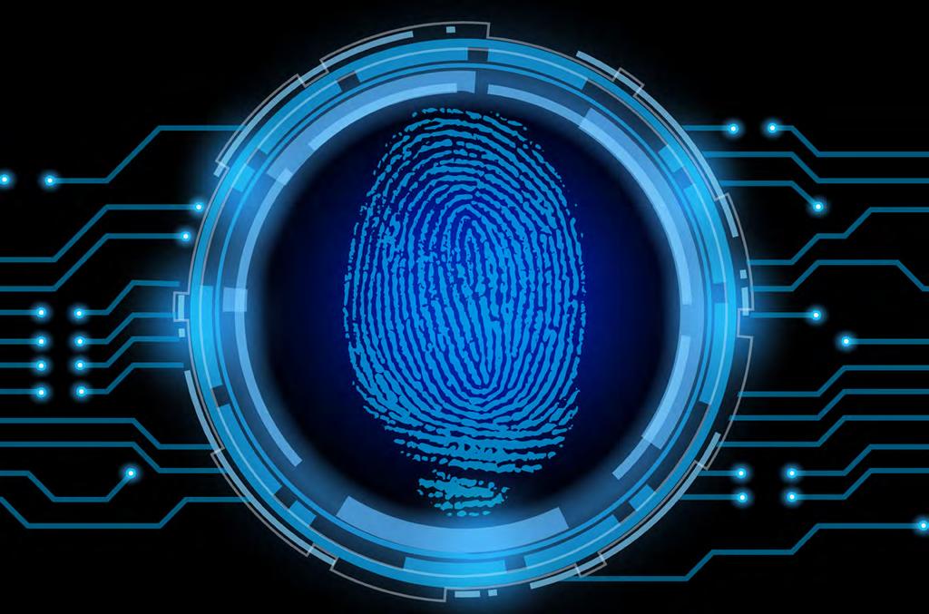 6 Heartbeat Technology kengmerry Fotolia.