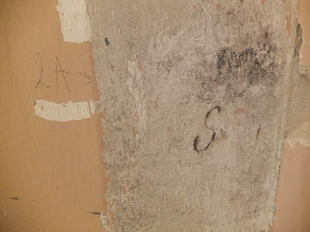 Faza chronologiczna po lewej stronie od próbki, numerem 2a zaznaczone grafitti (serduszko oraz litera 'S') ODKRYWKA Nr 4 (ściana) 13 Farba akrylowa, kolor