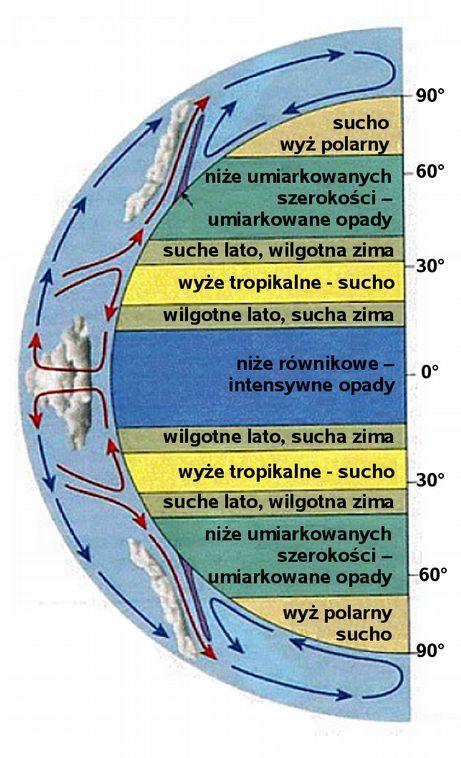 Wznoszone w silnej konwekcji do wysokości 16 km powietrze rozpływa się pod tropopauzą w dwie strony - na północ i południe (tzw. antypasat).