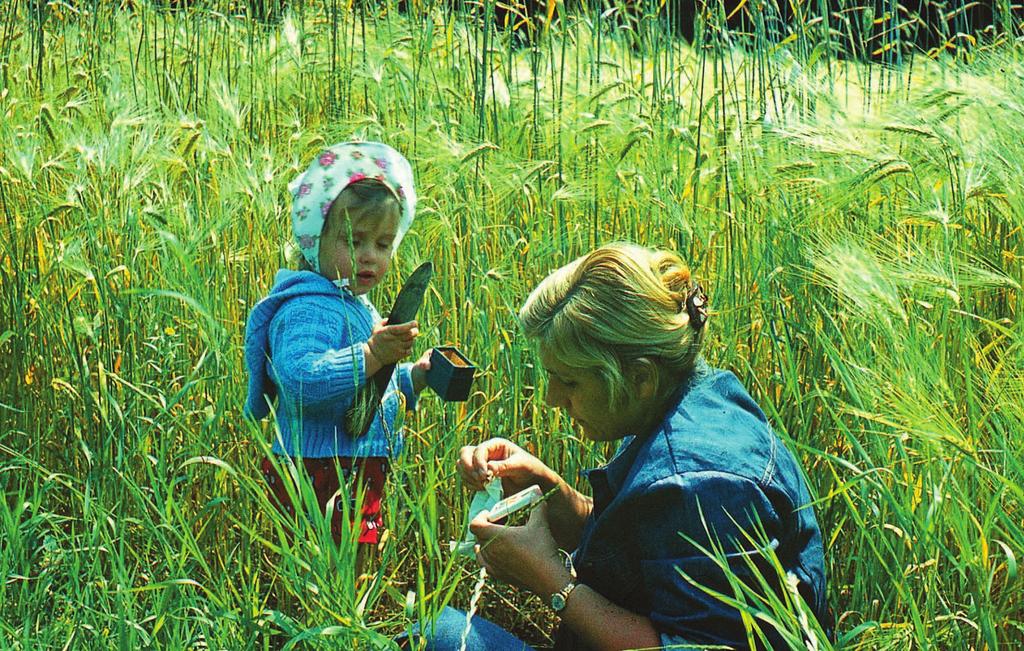 7 Problemy-synantropizacji- -badania-i- ycie-naukowe-profesor-jadwigi-anio³-kwiatkowskiej 7 Fot. K.