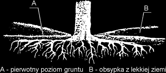 podróżnych przez wykonanie ławki na jej górnej powierzchni Rys. 3.