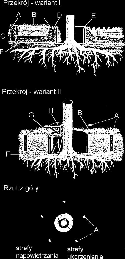 Objaśnienia: A szyb napowietrzający z ażurowym przykryciem, B nowy poziom terenu, C żwir, D perforowane