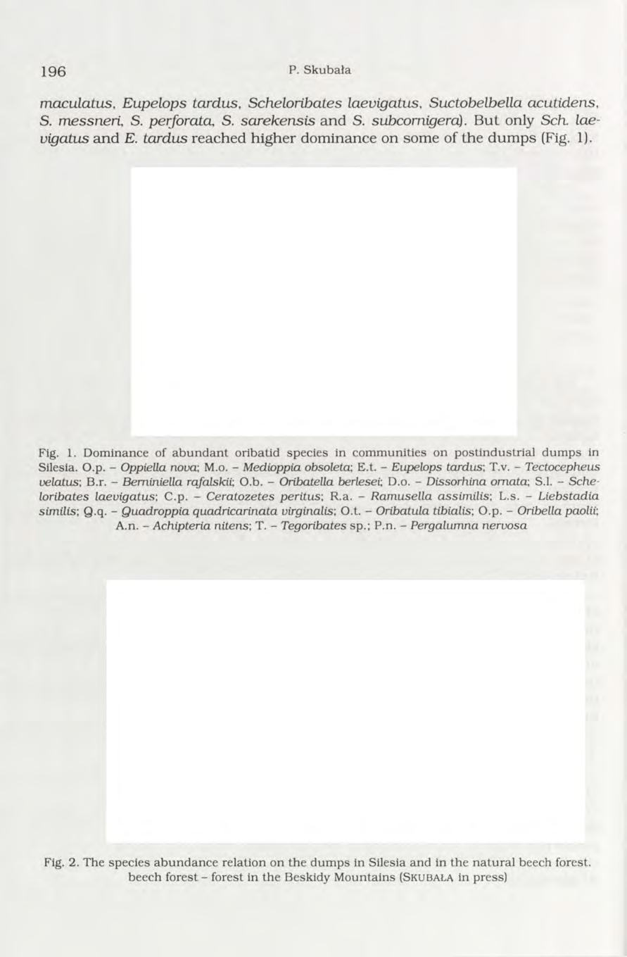 1 9 6 P. Skubała m aculatus, E upelops tardus, Scheloribates laevigatus, Suctobelbella acutidens, S. m essneri, S. perforata, S. sa reken sis and S. subcom igera). B ut only Sch.