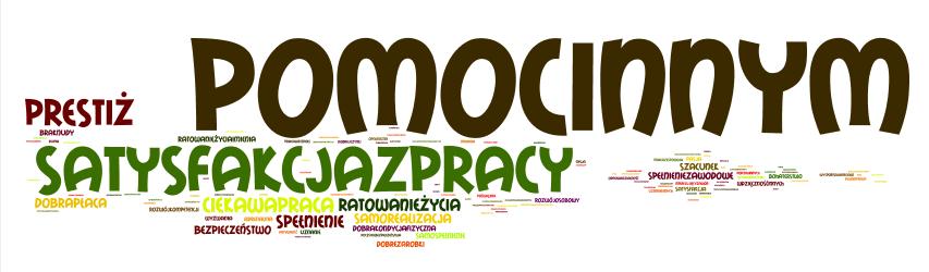 Rys. 2. Zalety ratownictwa Młodzi ankietowani dostrzegli również wady związane z ratownictwem. Trudno się z nimi nie zgodzić.