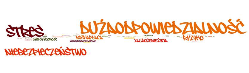 Wady ratownictwa Główny, a zarazem szczytny cel ratownictwa jakim jest zdolność niesienia pomocy innym dla większości ankietowanych (81%) jest realizowany jako misja i powołanie (służba dla