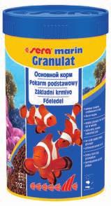 Kwiecień Amphiprion percula Błazenki 1 2