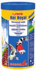sędziwy wiek.