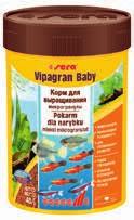 Krewetki filtrujące, które występują od barw
