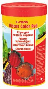 Styczeń Symphysodon discus Paletka 1 2 3