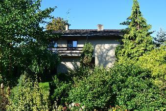 Widok