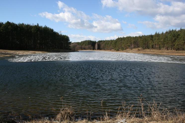 W 4 kąpieliskach woda nie odpowiadała wymaganiom, tj. w: Wojciechowie (pow. kielecki), Zalewie w Kielcach, Szymanowicach Dolnych (pow. sandomierski) oraz Brodach (pow. starachowicki).