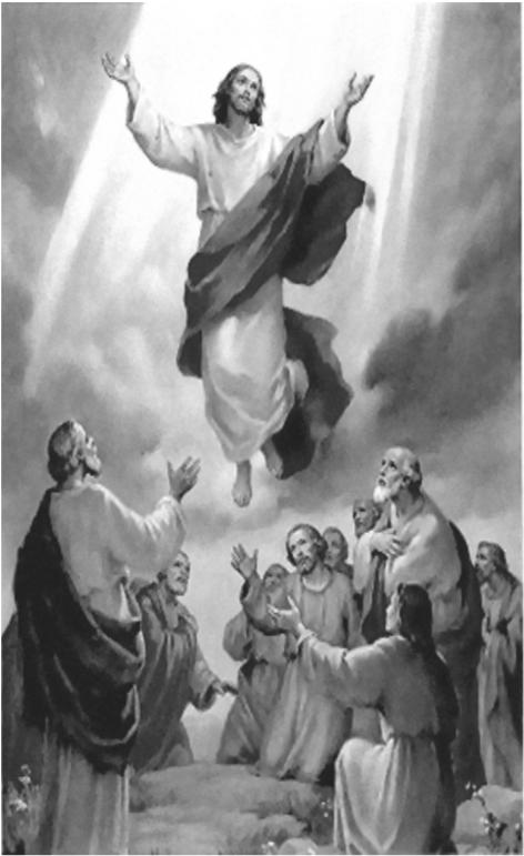 May is the Month of Mary & Mothers Each Saturday at 12:00 Noon there will be Marian Devotions and Benediction in English. The Polish devotions will be held every Sunday at 3:00 PM.