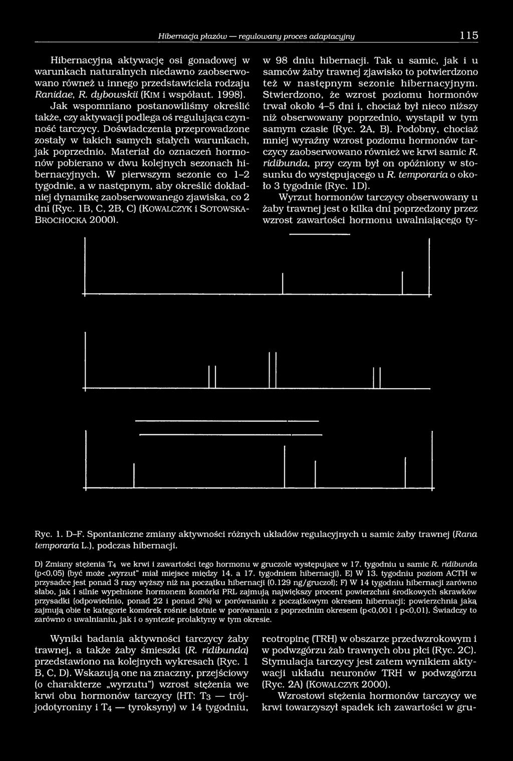 Doświadczenia przeprowadzone zostały w takich samych stałych warunkach, jak poprzednio. Materiał do oznaczeń hormonów pobierano w dwu kolejnych sezonach hibernacyjnych.