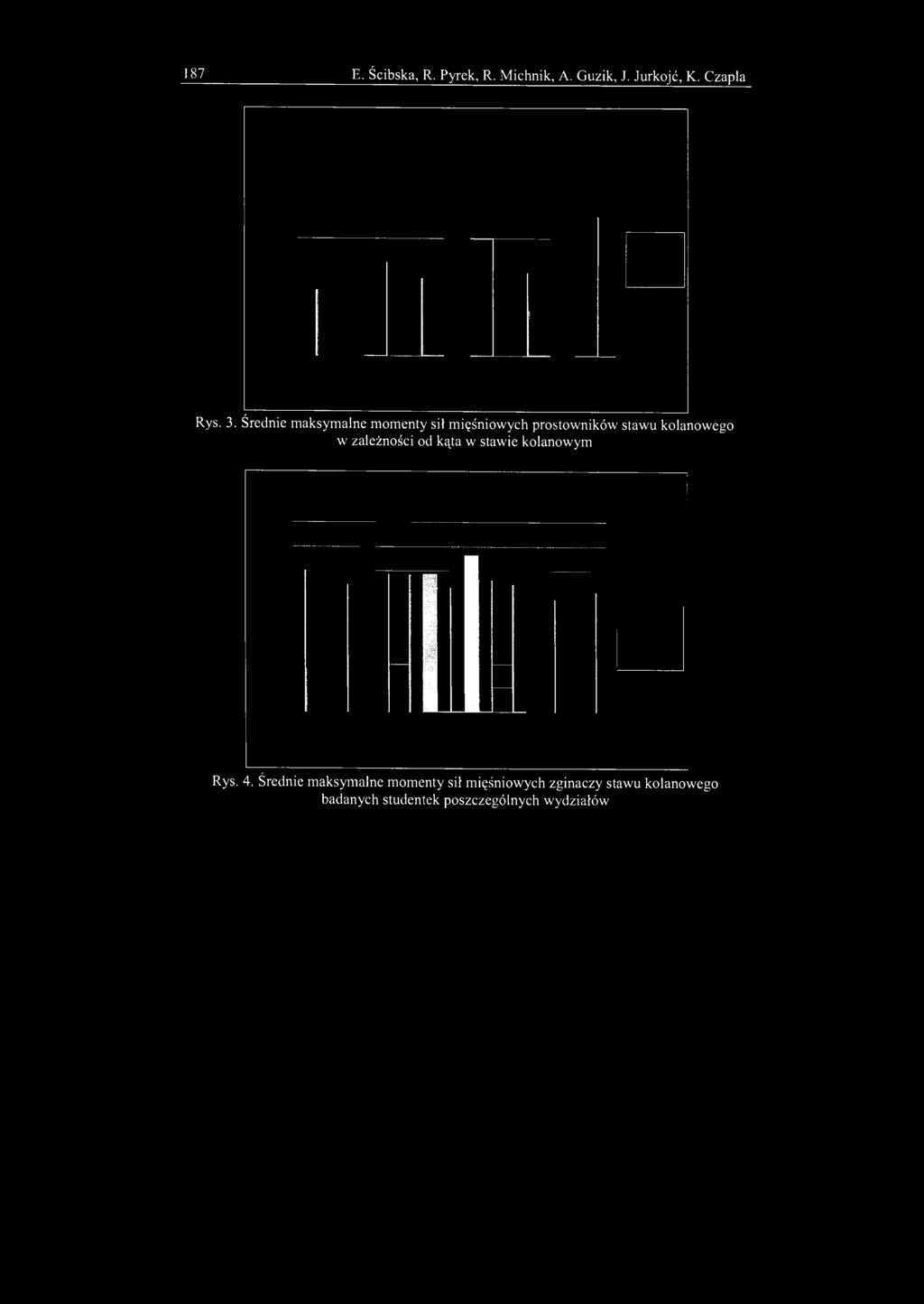187 E. Ścibska, R. Pyrek, R. Michnik, A. Guzik, J. Jurkojć, K. Czapla Rys. 3.