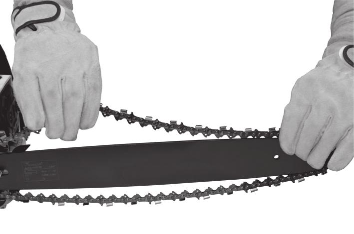 GI 29 19