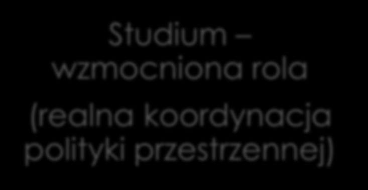 wzmocniona rola (realna koordynacja polityki