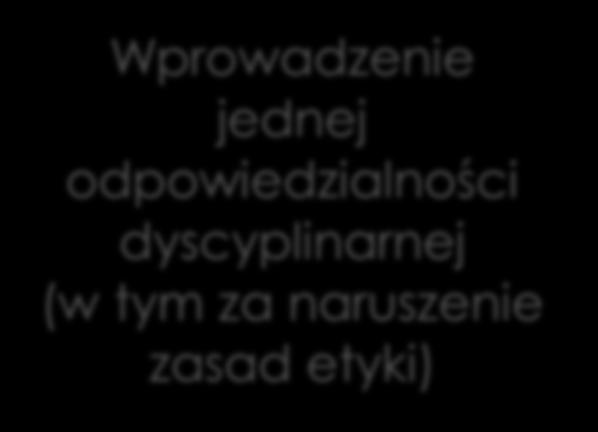 Architekt i Inżynier budownictwa Wprowadzenie jednej odpowiedzialności