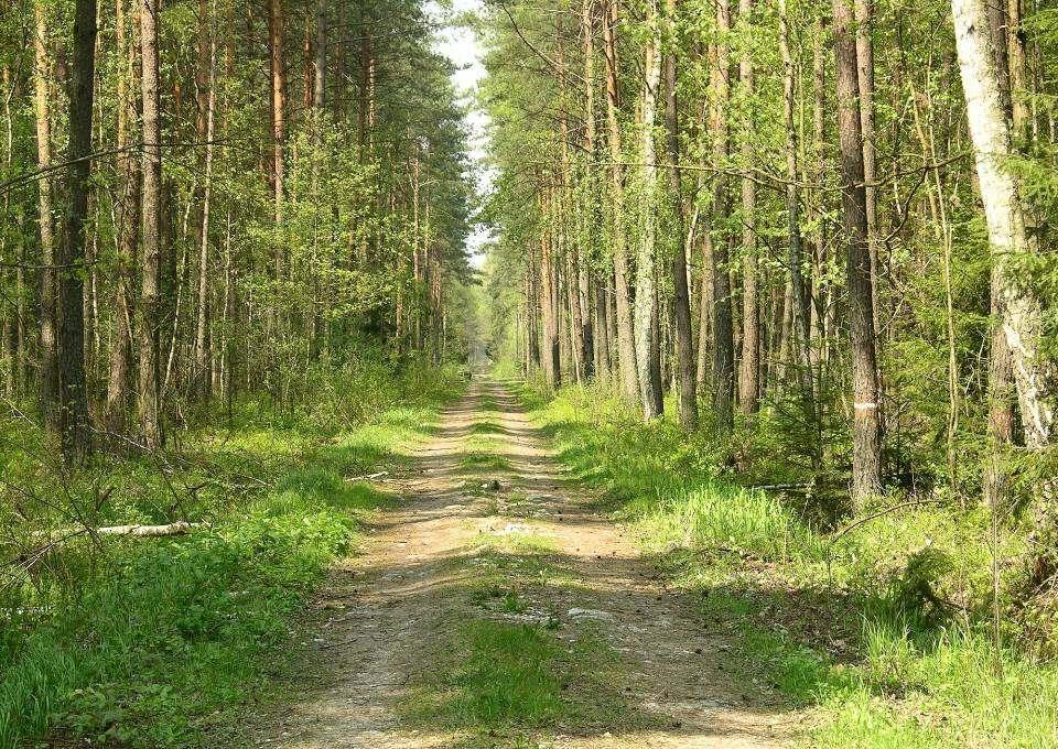 Wędrując