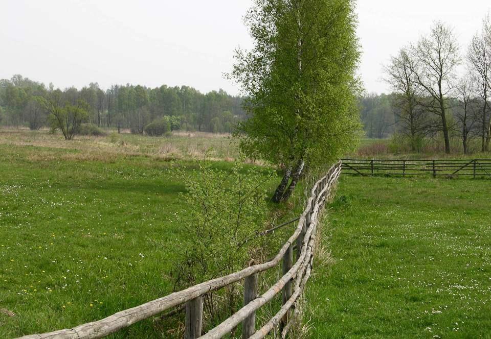 Łąki i pastwiska nad