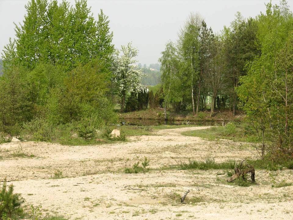 Wyrobisko po