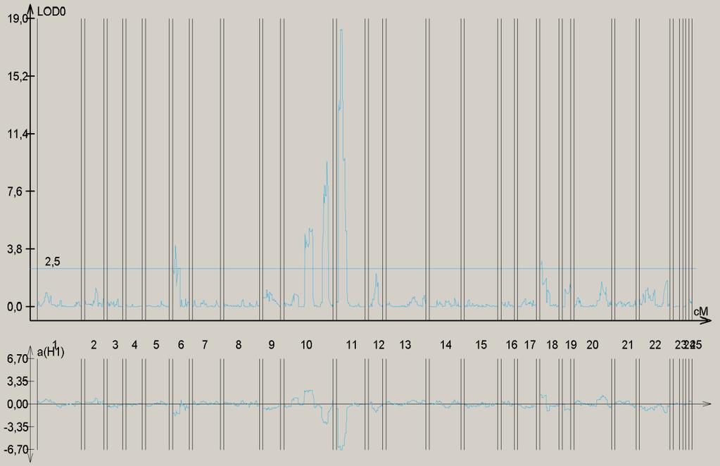 Rysunek 5.
