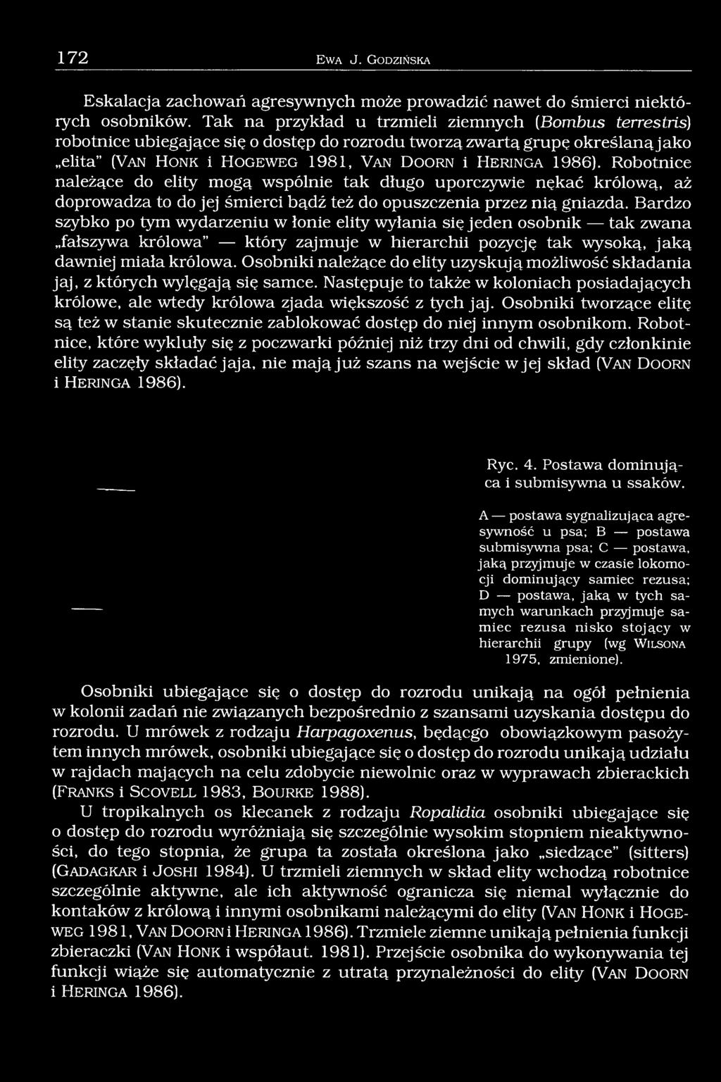 e r in g a 1986). Robotnice należące do elity mogą wspólnie tak długo uporczywie nękać królową, aż doprowadza to do jej śmierci bądź też do opuszczenia przez nią gniazda.