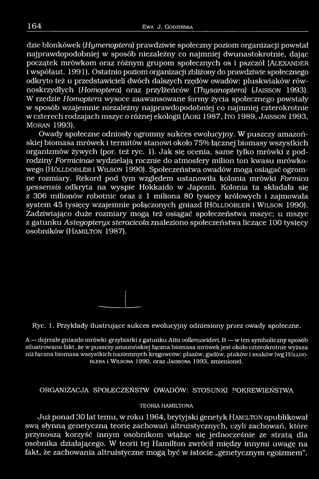 społecznych os i pszczół (A l e x a n d e r i współaut. 1991).