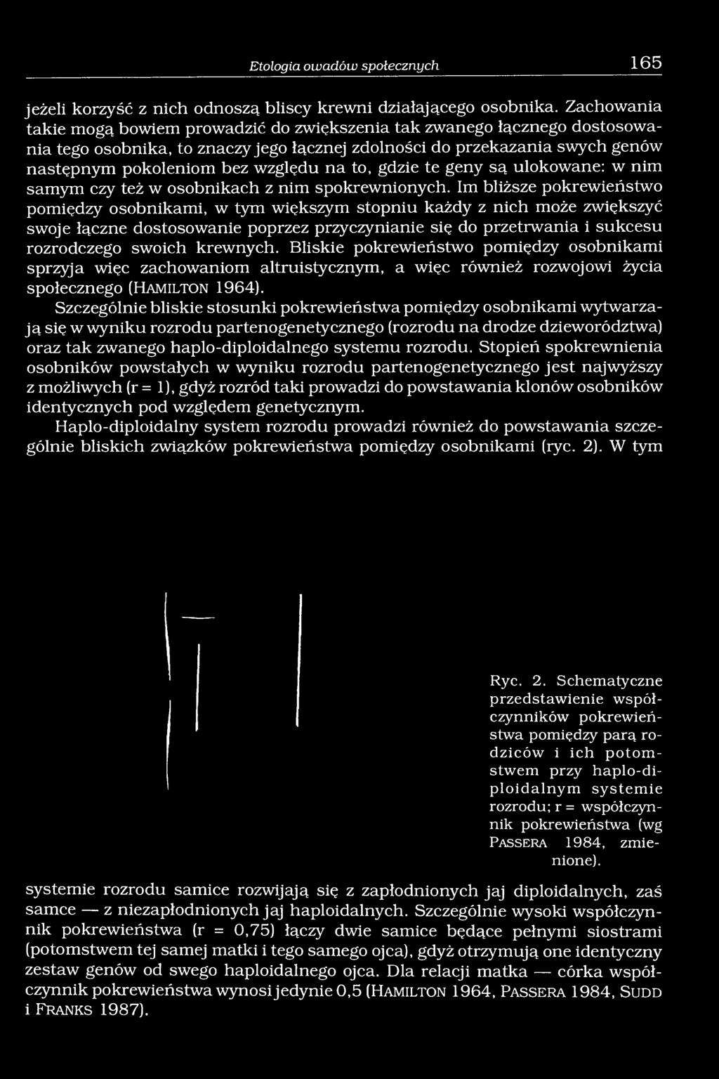 to, gdzie te geny są ulokowane: w nim samym czy też w osobnikach z nim spokrewnionych.