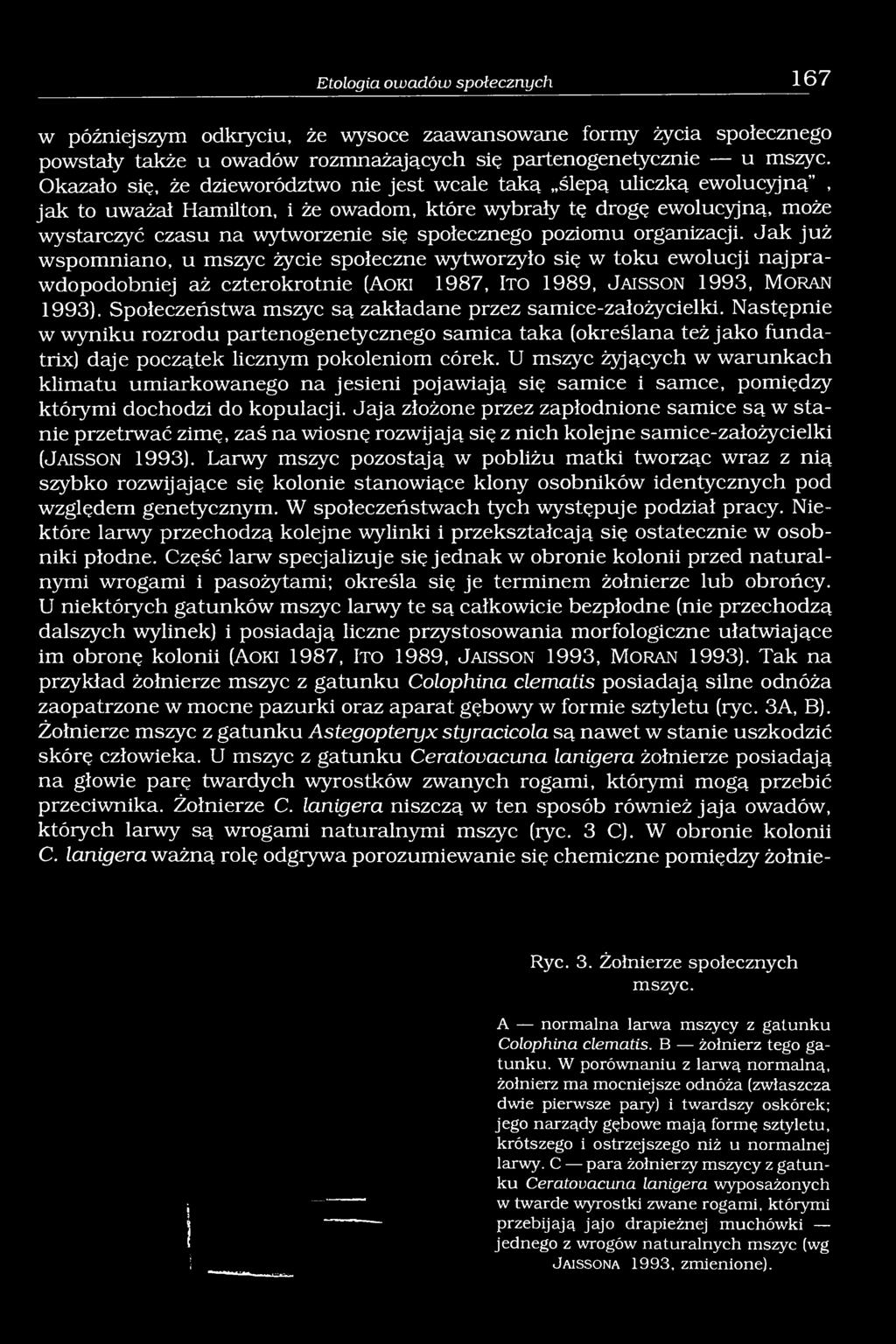 społecznego poziomu organizacji. Jak już wspomniano, u mszyc życie społeczne wytworzyło się w toku ewolucji najprawdopodobniej aż czterokrotnie (Aoki 1987, Ito 1989, Jaisso n 1993, M oran 1993).
