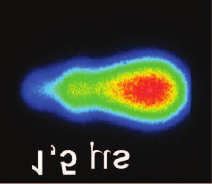16 17 18 195.3.