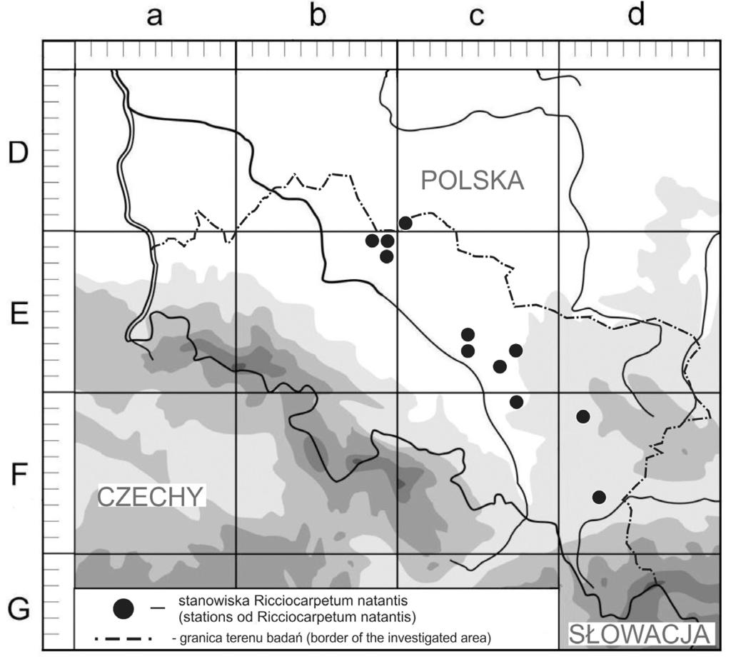 K. Spałek & A. Stebel: Występowanie Ricciocarpos natans na Śląsku 429 Ryc. 3.