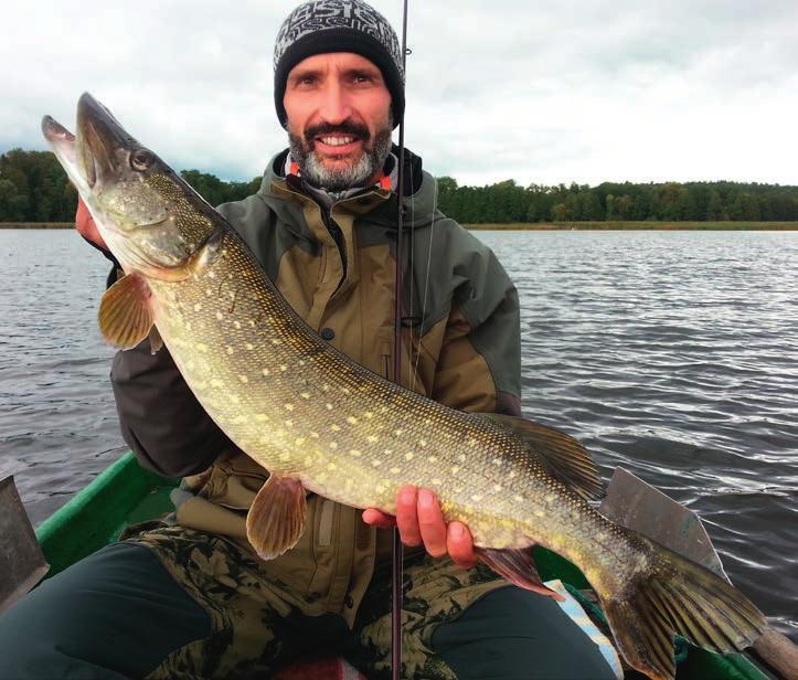 Mega Baits OBROTÓWKI Dragon Proporcja pomiędzy masą korpusu, wielkością i kształtem paletki oraz odległością pomiędzy środkiem ciężkości korpusu a punktem, wokół którego wiruje paletka, wpływa na