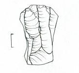 Tablica I.
