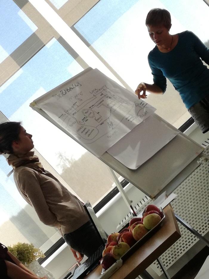 Aspekty edukacyjne projektów Opracowanie innowacyjnych materiałów i metod edukacyjnych Intensywny kurs letni + e-learning Innowacyjne projekty, Lekcje w szkołach UWAGA: