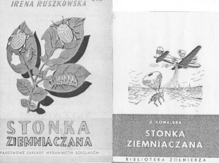 Instrukcje wdrożeniowe i artykuły prasowe dotyczące stonki ziemniaczanej (źródło Internet) Należało informować ówczesną władzę o każdym zagrożeniu, jednak