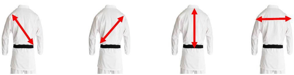 Kryteria IPPON: 1. Prędkość. 2. Siła. 3. Większa część pleców. 4. Umiejętna kontrola do samego upadku.