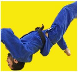 Bridge (mostek) Wszystkie dobrowolne upadki w pozycji mostowej powinny być ocenione na ippon.